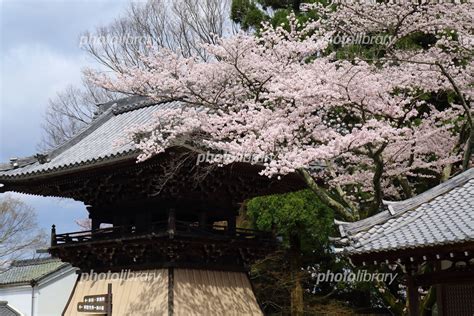 宗祖殿|西教寺